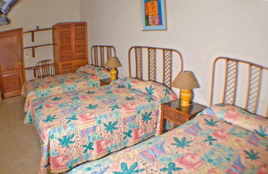 Carey House Hotel ซานโตโดมิงโก ภายนอก รูปภาพ
